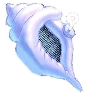The Magic Conch Shell